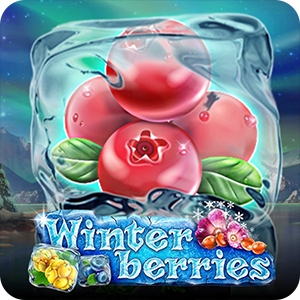Winterberries 2