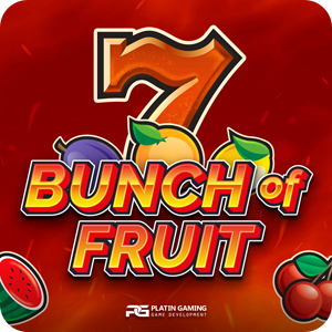 Bunch of Fruit